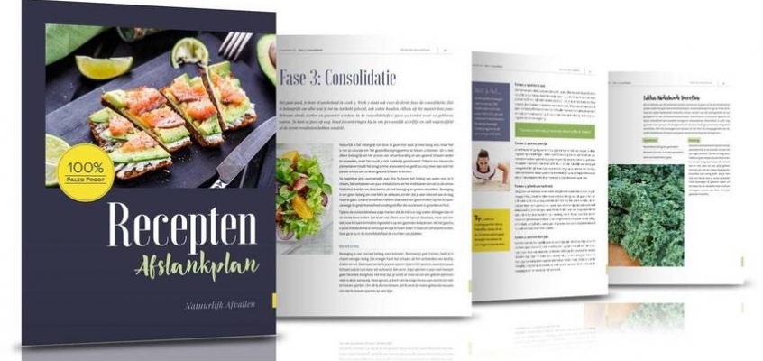 Is het Recepten Afslankplan een goede investering? (Review)