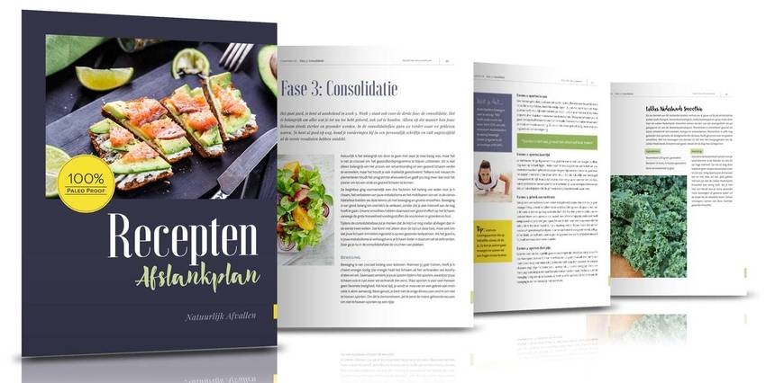 binnenzijde recepten afslankplan