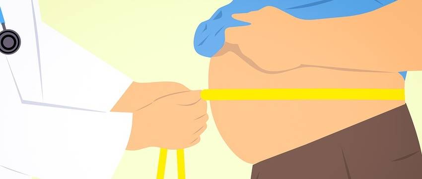 Wat is visceraal vet of orgaanvet? Ontdek de gevaren + oplossing