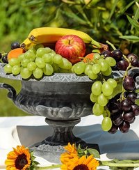 fruitdieet