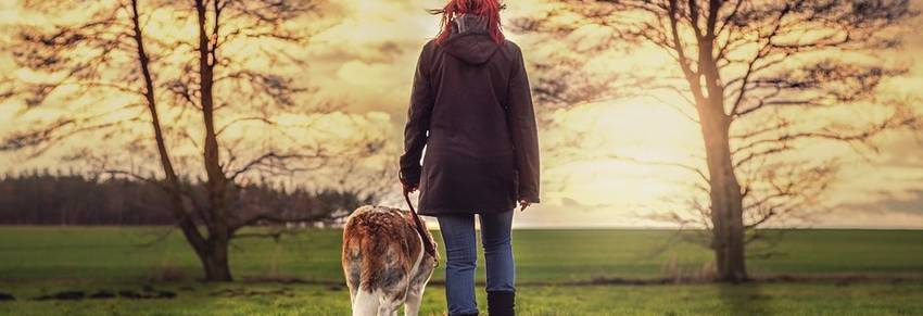 Wat is cardio en hoe val je er mee af? 6 redenen om er mee te starten