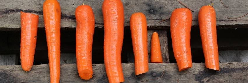 3 punten waardoor je gaat afvallen met Paleo