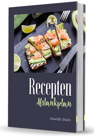 recepten afslankplan