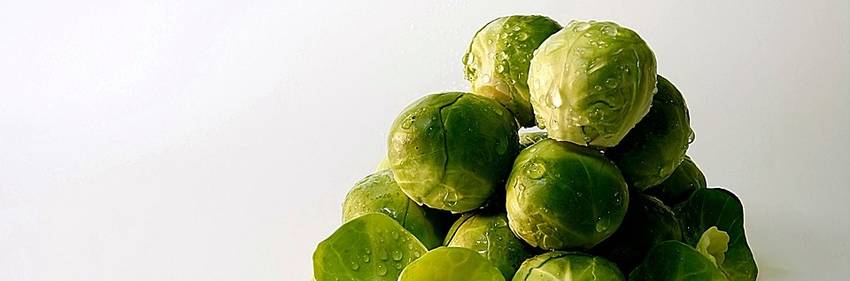 Hoe je als vegetariër aan Paleo kunt doen