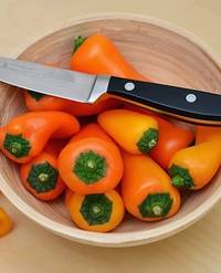 koolhydraatbeperkt recepten