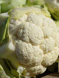 bloemkool