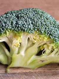 broccoli
