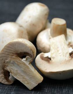 champignons