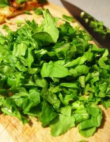 rucola sla