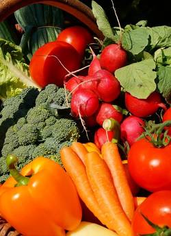 Veel verschillende soorten groenten bij elkaar